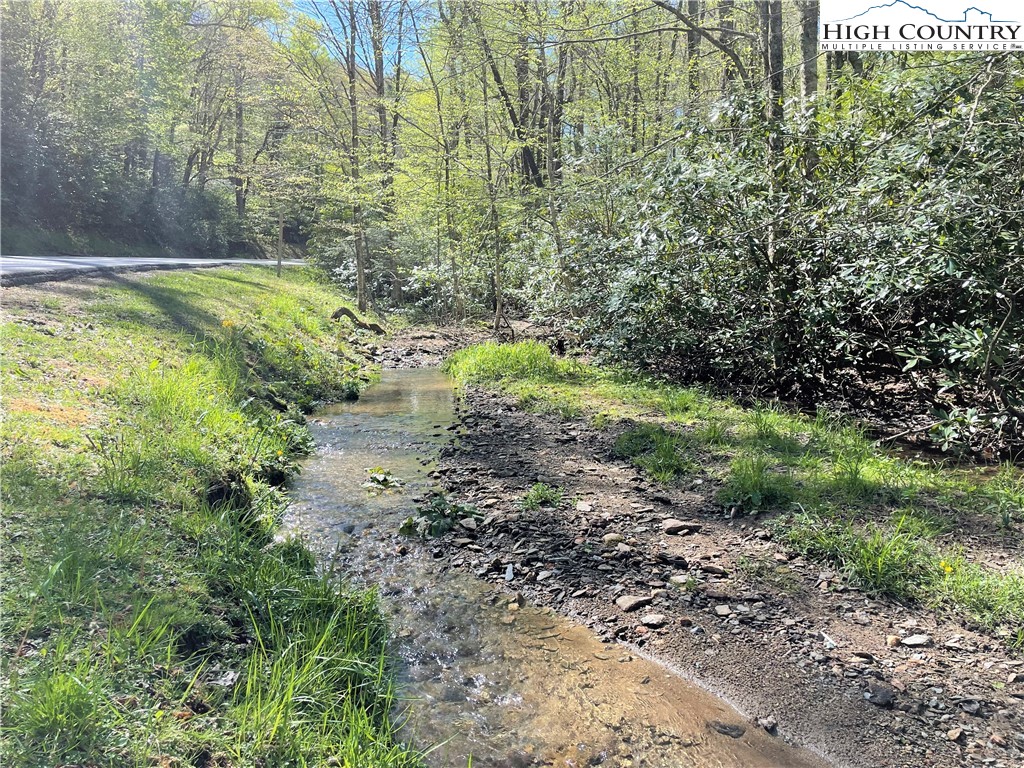 Blowing Rock, North Carolina 28605, United States, ,Land,Active,72884