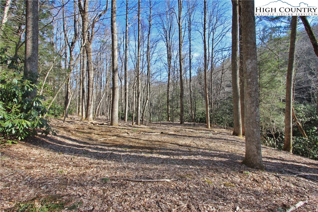 Blowing Rock, North Carolina 28605, United States, ,Land,Active,72884