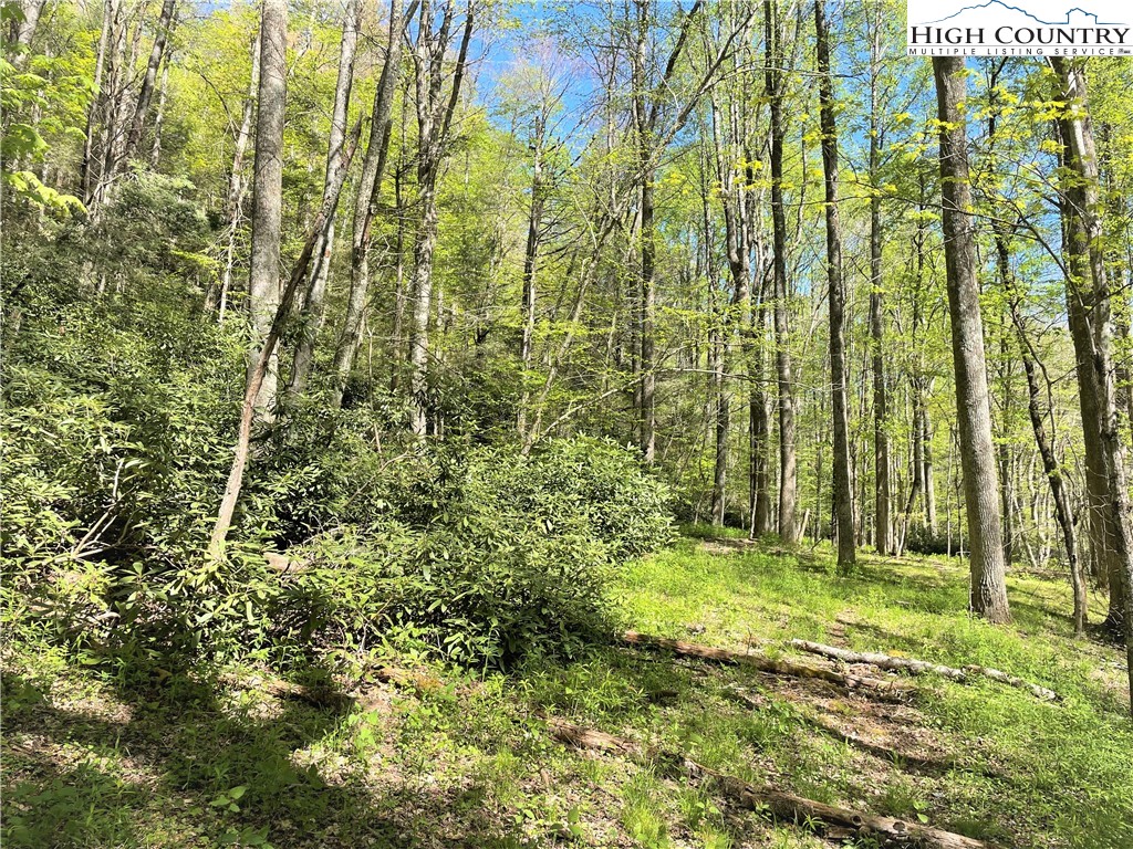 Blowing Rock, North Carolina 28605, United States, ,Land,Active,72884