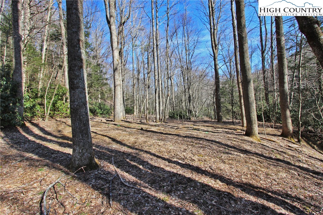 Blowing Rock, North Carolina 28605, United States, ,Land,Active,72884