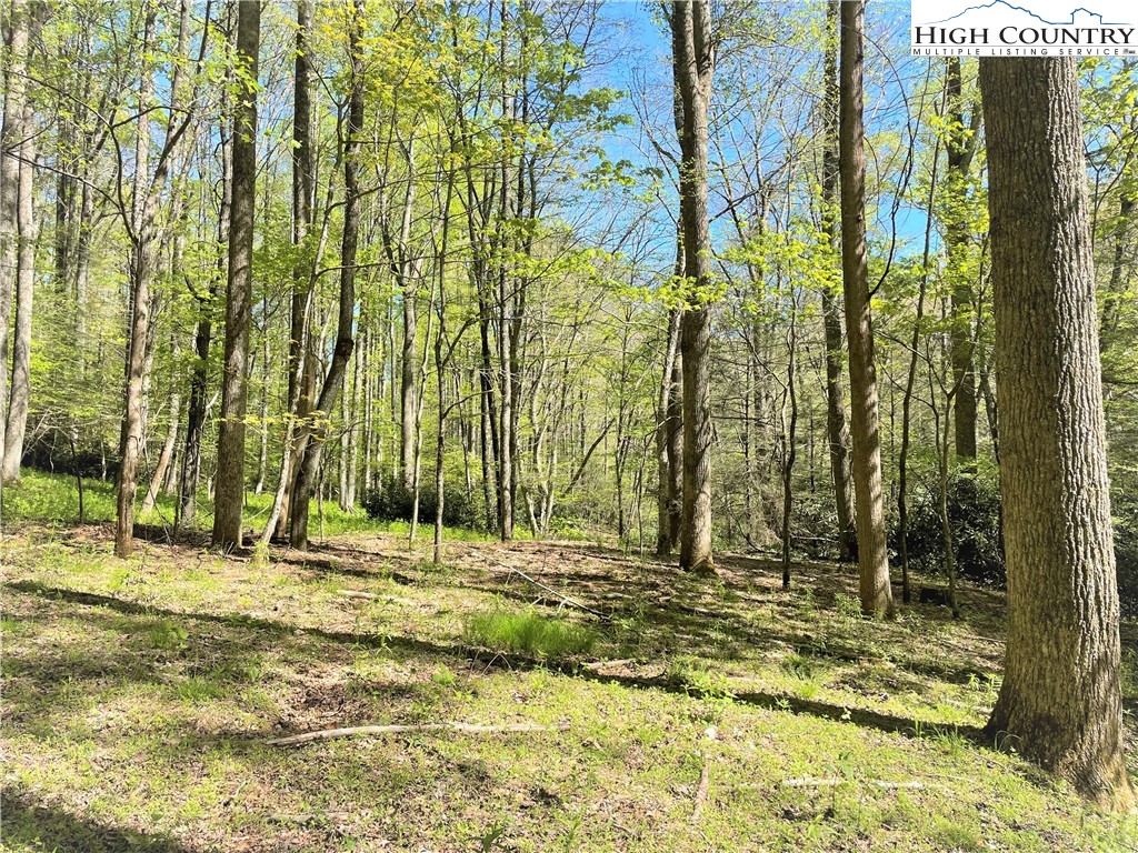 Blowing Rock, North Carolina 28605, United States, ,Land,Active,72884