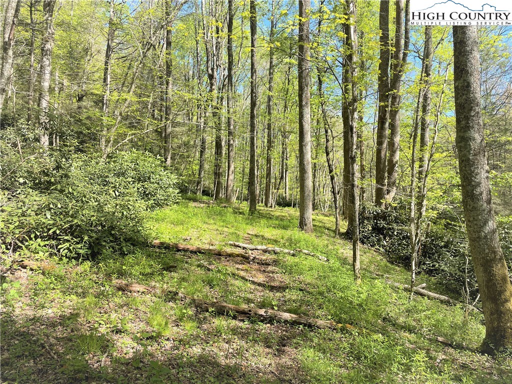 Blowing Rock, North Carolina 28605, United States, ,Land,Active,72884