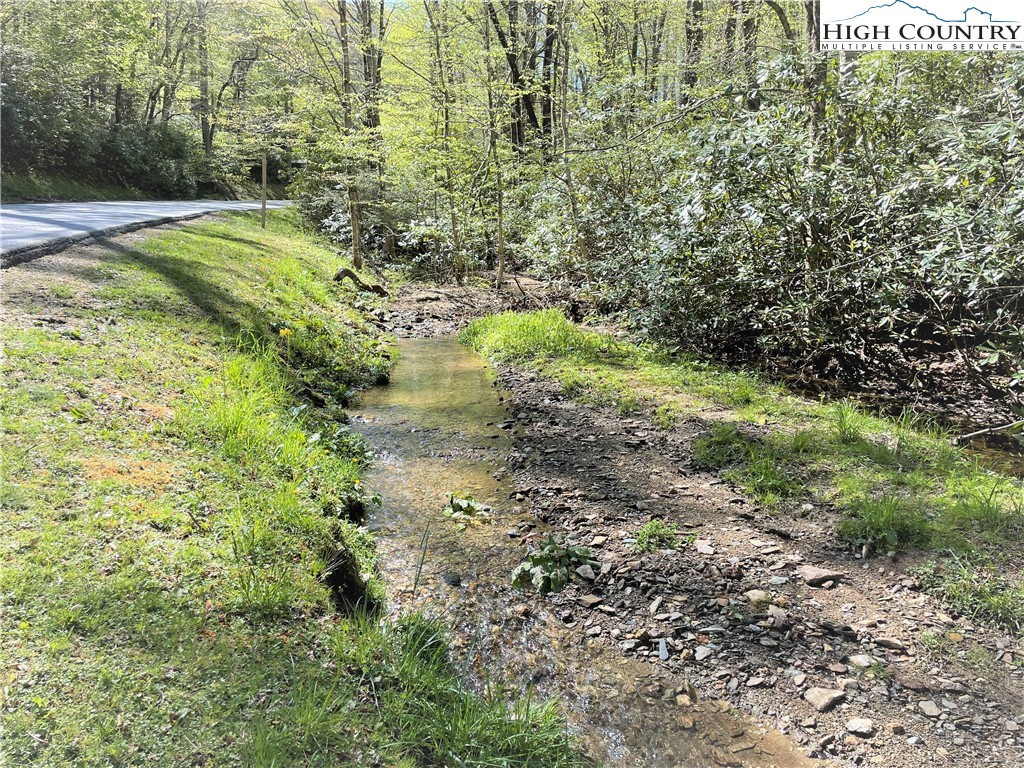 Blowing Rock, North Carolina 28605, United States, ,Land,Active,72884