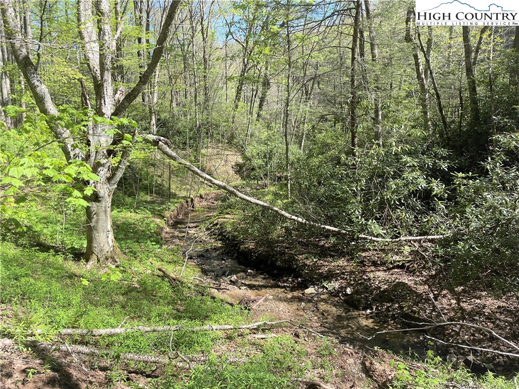 Blowing Rock, North Carolina 28605, United States, ,Land,Active,72884