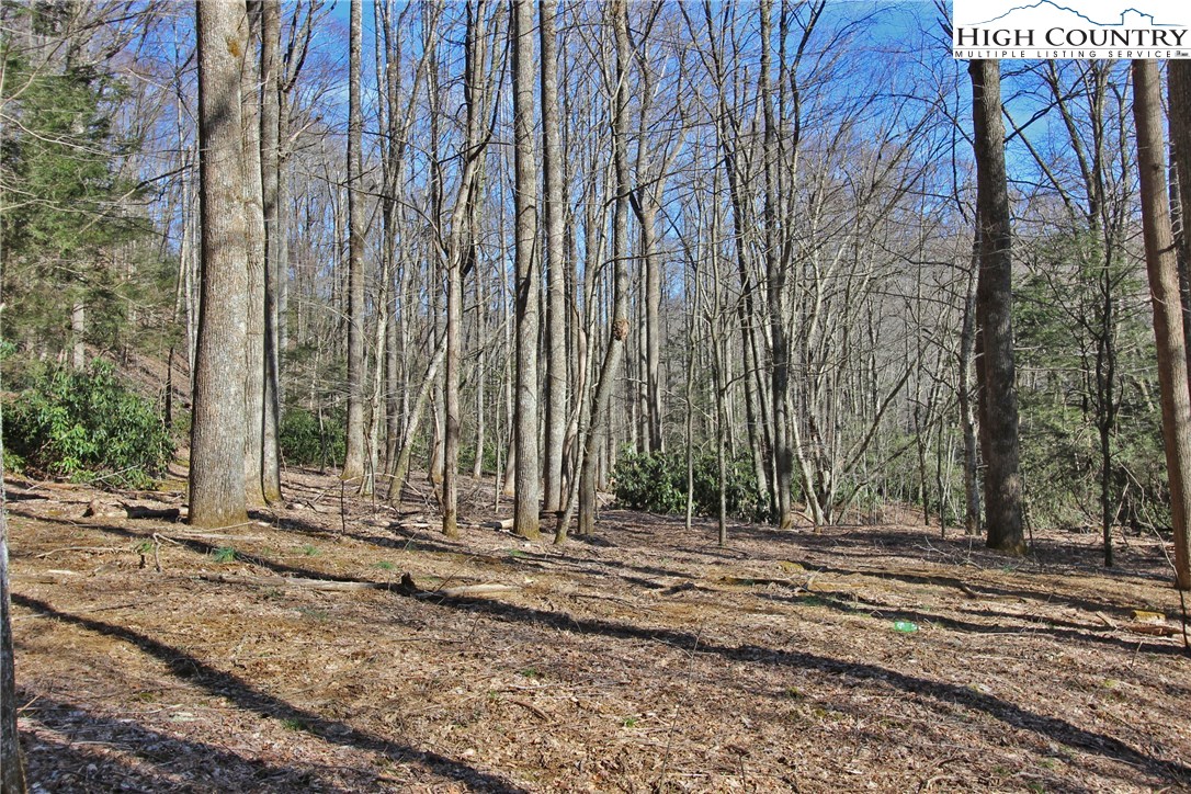 Blowing Rock, North Carolina 28605, United States, ,Land,Active,72884