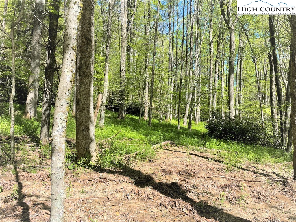 Blowing Rock, North Carolina 28605, United States, ,Land,Active,72884