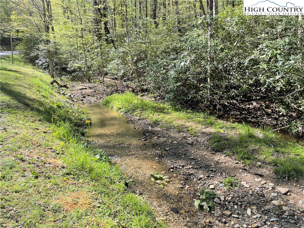 Blowing Rock, North Carolina 28605, United States, ,Land,Active,72884