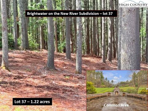 Vacant Land For Sale - LOT 37 Smoke Rise Path<br/> Ashe County, West Jefferson, NC 28694