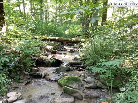 Photo of Lot 4 Larkspur Trail, Banner Elk, NC 28604 (MLS # 251351)