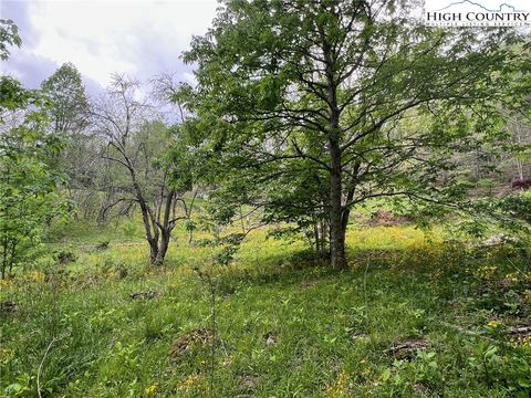 Photo of TBD Old Hartley Road, Banner Elk, NC 28604 (MLS # 255546)