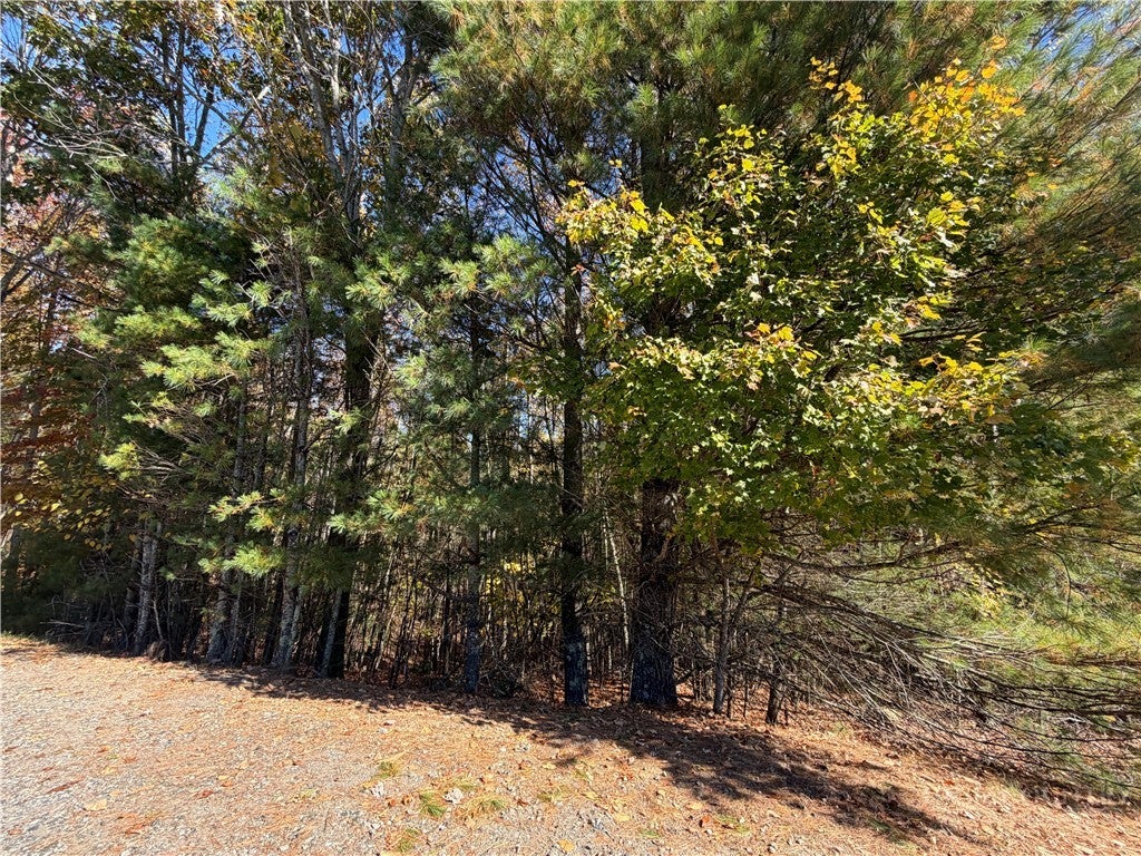 TBD Lower Springs Drive