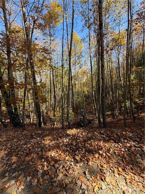 Photo of TBD Lower Springs Drive, Jefferson, NC 28640 (MLS # 265119)