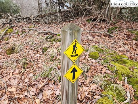 Photo of TBD Gumtree Road, Beech Mountain, NC 28604 (MLS # 259948)