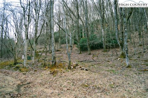 Photo of Lot 101 Beaver Lodge Trail, Blowing Rock, NC 28605 (MLS # 255773)