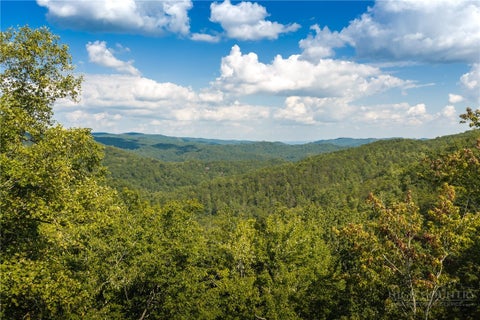 Photo of 282 Ninebark Road, Boone, NC 28607 (MLS # 264256)