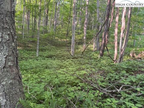 Vacant Land For Sale - LOT 58 Beechwood Circle<br/> Creston, NC 28615