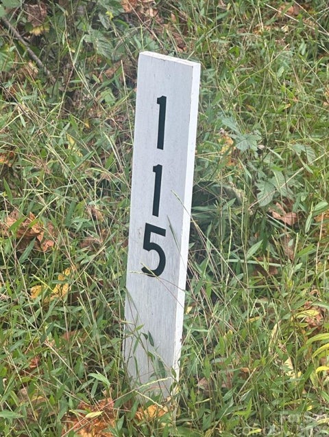 Photo of Lot 115 Monk Court, North Wilkesboro, NC 28659 (MLS # 265079)