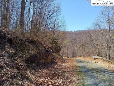 Photo of 104 Beadwood Lane, Beech Mountain, NC 28604 (MLS # 249584)