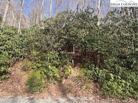 Photo of 293 Poplar Drive Dr, Beech Mountain, NC 28604 (MLS # 260581)