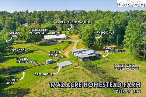 Photo of 1218 Mtn View Baptist Church Road, Deep Gap, NC 28618 (MLS # 257061)