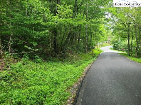 Photo of TBD Elk Horn Road, Sugar Mountain, NC 28604 (MLS # 259288)