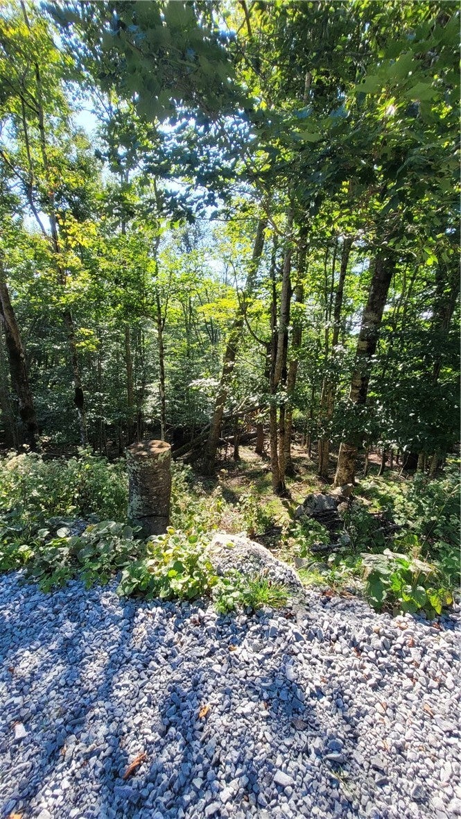 112 Upper Snowbird Trail