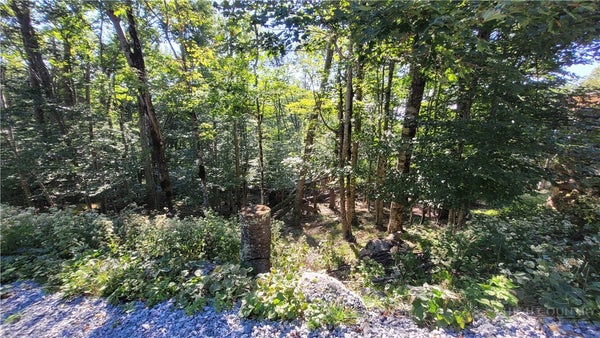 112 UPPER SNOWBIRD TRL, BEECH MOUNTAIN, NC 28604 - Image 3dd345c2b0e6a021aea2f7498475af4e/2194353388