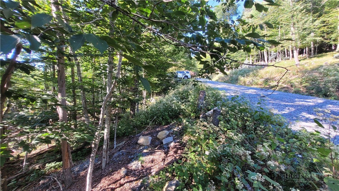 112 Upper Snowbird Trail