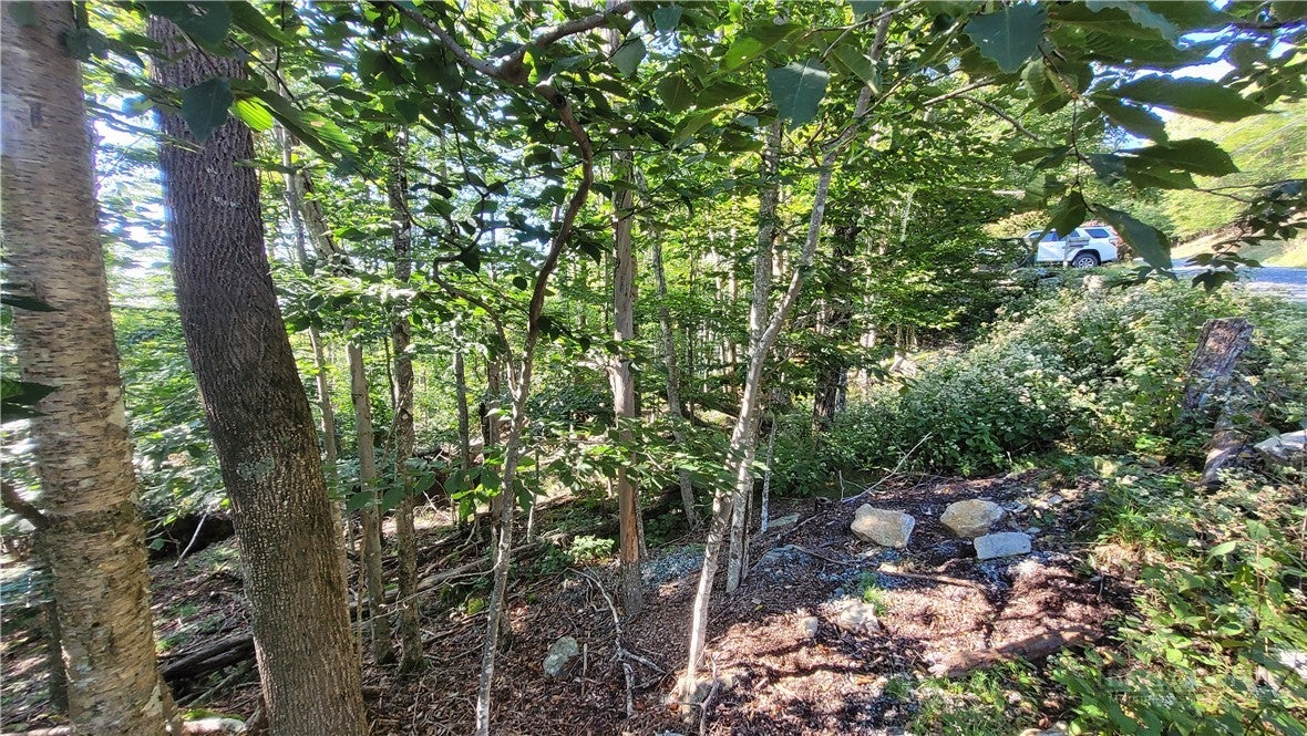 112 Upper Snowbird Trail