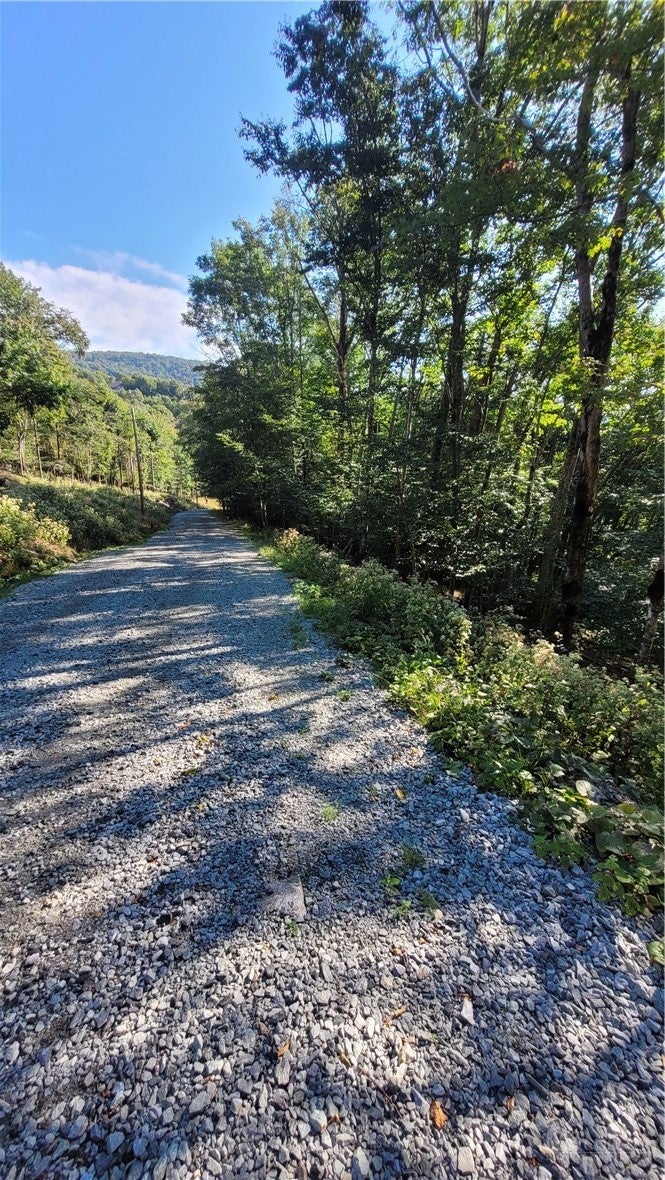 112 Upper Snowbird Trail