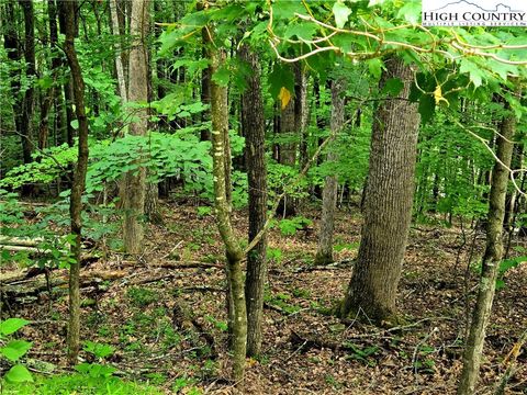 Photo of TBD Red Fox Ridge, Boone, NC 28607 (MLS # 256887)