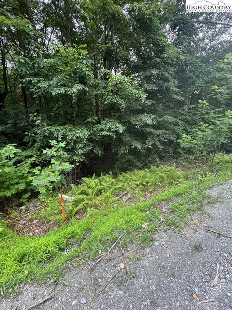 Photo of 327 Locust Ridge Rd, Beech Mountain, NC 28604 (MLS # 257036)