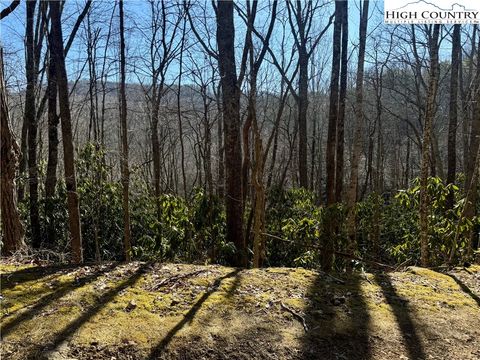 Photo of 0 Gumtree Road, Beech Mountain, NC 28604 (MLS # 260148)