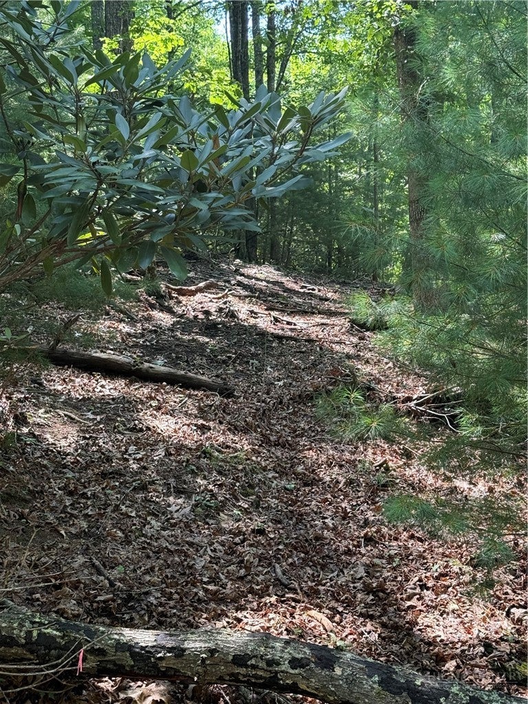 Lot 1 Skye Ridge Drive