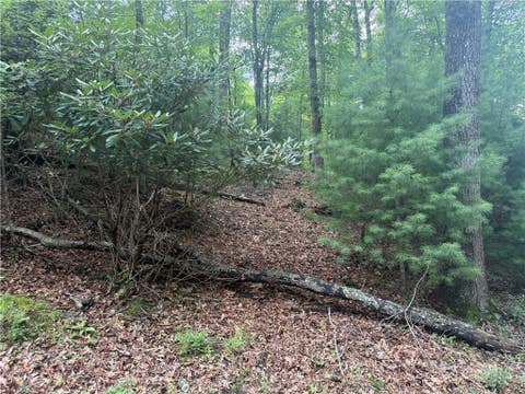 Photo of Lot 1 Skye Ridge Drive, West Jefferson, NC 28694 (MLS # 263494)