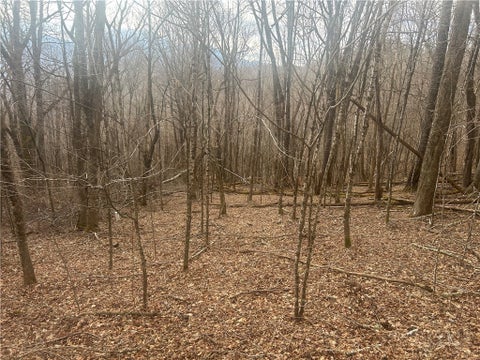 Vacant Land For Sale - LOT 39 Rainbow Ridge Road<br/> Zionville, NC 28698