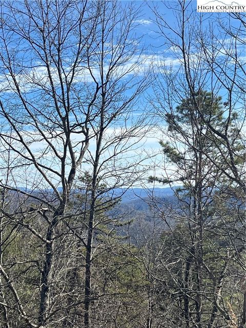 Photo of LOT 99 Nightshade Road, Boone, NC 28607 (MLS # 260043)
