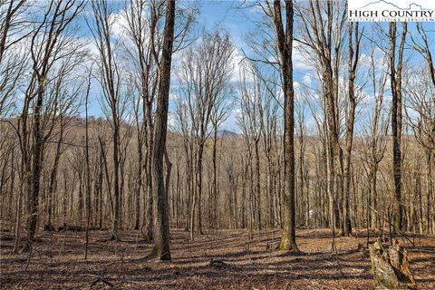 Photo of TBD Cobbs Creek Road, Boone, NC 28607 (MLS # 254999)