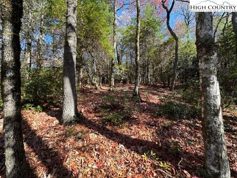 Vacant Land For Sale - LOT 32 Thoreau Court<br/> West Jefferson, NC 28694