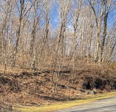 Vacant Land For Sale - LOT 32 Jewel Weed Trail<br/> Newland, NC 28657