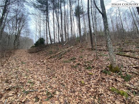 Homes For Sale - TBD Rabbit Ridge Run<br/> Vilas, NC 28692