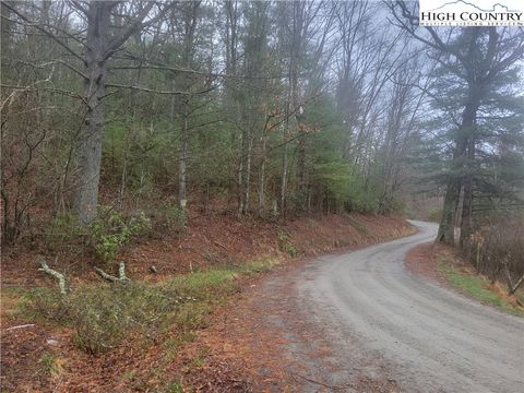 Photo of TBD Old Mill Road, Glade Valley, NC 28627 (MLS # 254394)
