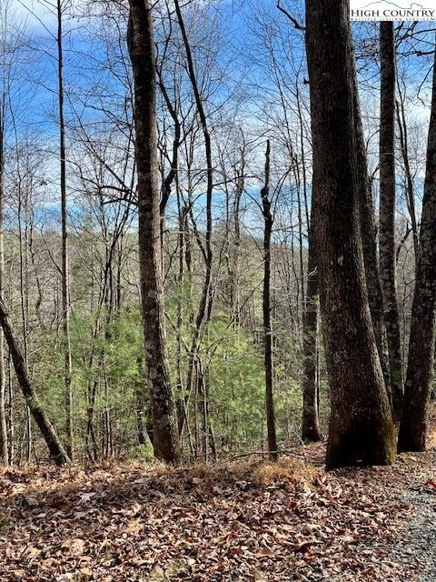 Photo of TBD Doe Valley Lane, Deep Gap, NC 28618 (MLS # 259311)