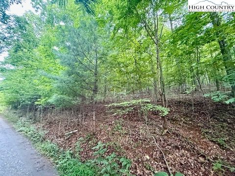 Vacant Land For Sale - LOT 29 Winter Street<br/> Jefferson, NC 28640