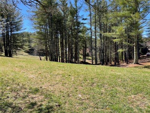 Photo of TBD Little Harbour Court, Vilas, NC 28692 (MLS # 264670)