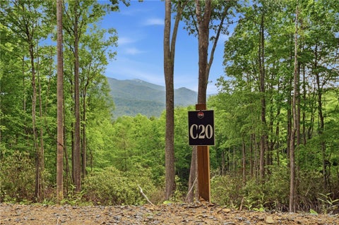 Photo of C20 Autumnwood Trace, Elk Park, NC 28622 (MLS # 262317)