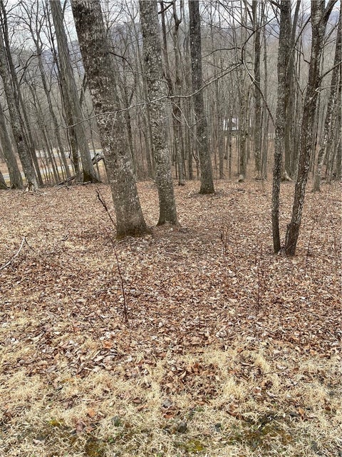 Photo of Lot #33 Elk Mountain Parkway, Todd, NC 28684 (MLS # 264251)