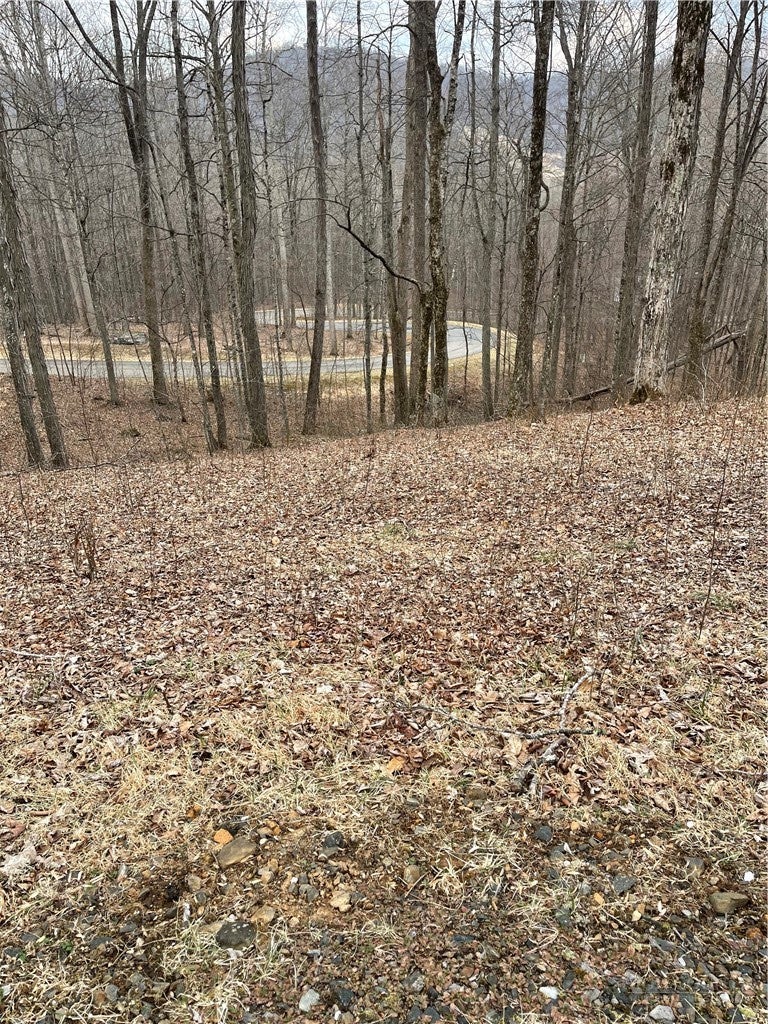 Lot #33 Elk Mountain Parkway