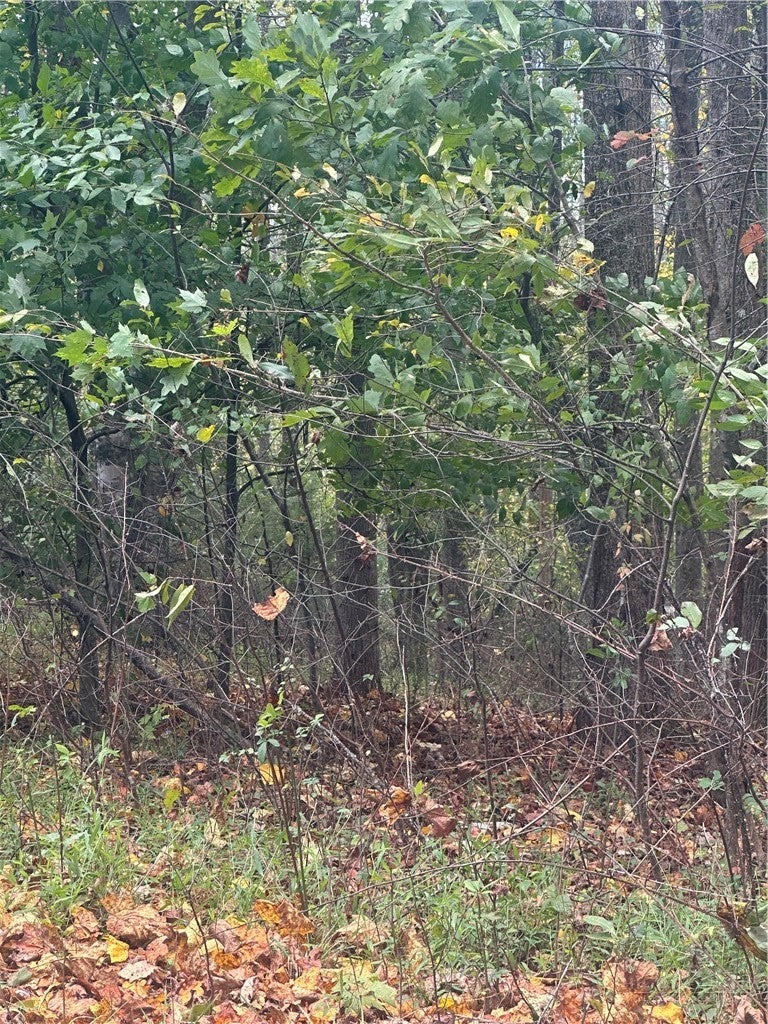 Lot 120 Friar Court