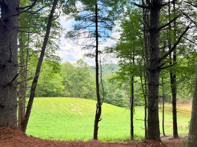 Lot 50 Brightwater Trail